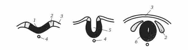 ��������� ���䳿 ���������� ������� ������ � ��������� ������� �� 3-�� ����� �������� ��������� ������� (���������� ���)