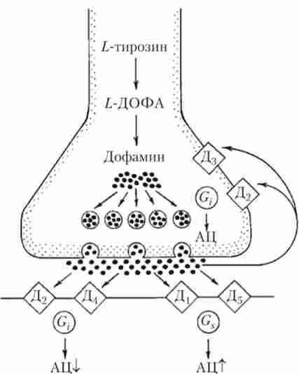 ����� ������������ ���������� ��������� ����� �������