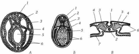 ������� ����� �������� ������