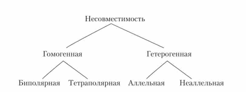 ������������ ���� ���������� � �����