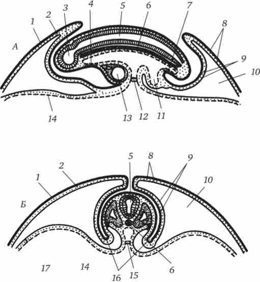 ����� ��������� ������� � ���������� �������� � ������� �������