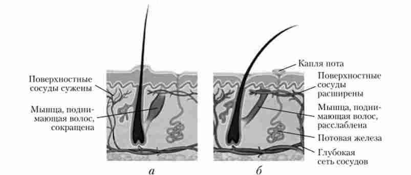 ���� ��������� ������ ��� �������� � ����������� (�) � ��� ��������� ���������� ������ (6)