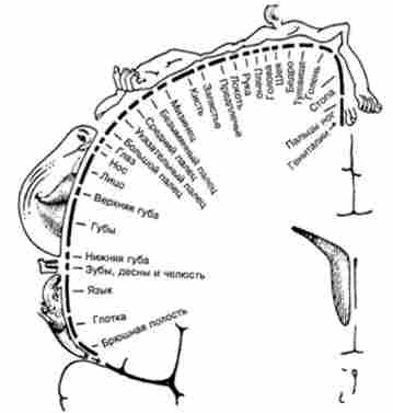 ��������� ����������