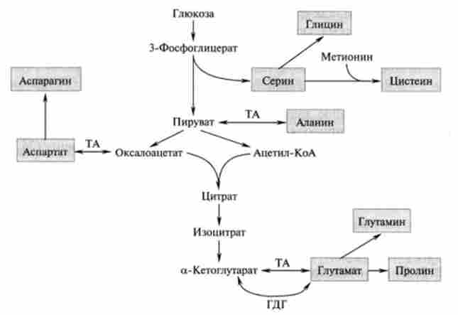 ����� ������� ������� ����������, �� ����������� � �������