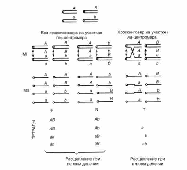 ����� ������ �, N � � � ��������� �� �������� ��� ��������� ������������ �� ������ � ���������� ������������. �, Ml - ����� � ����� ������ ������