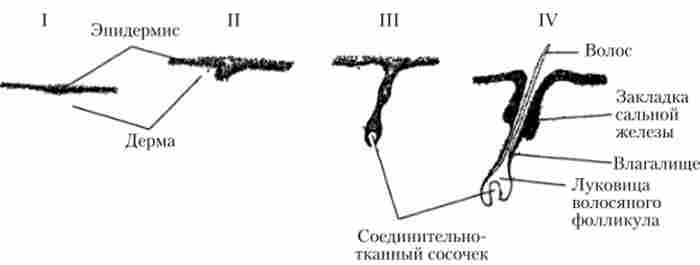 ��������� ���䳿 �������� ������