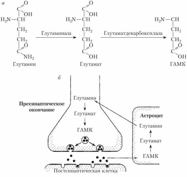 ���� ���������� ������� � ���
