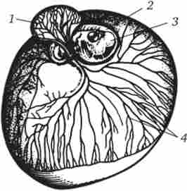 ������� ������� �� 6-�� ���� ��������� (���� � ����� ��������, �������� ������� �����)