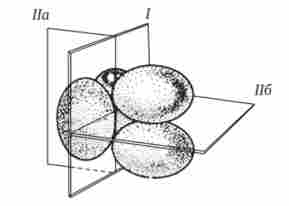 ����� ���䳿 ��������� ������ �������