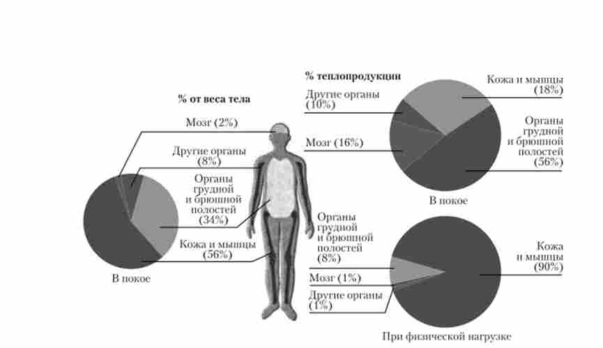 ������ ������� ��� ������ � ��������������