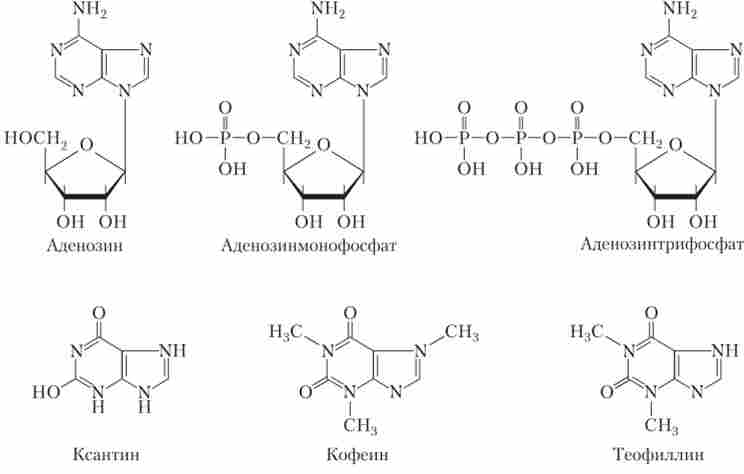 ˳����� ��������� ���������