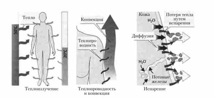 ������� ������ ����� ���������� ������