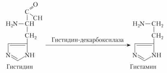 �������� �������