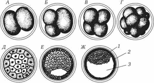 ��������� ������ ������