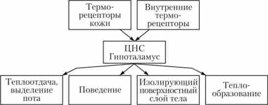 �������������� � ������