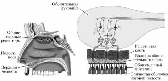 ������������ ���� ������ �������� ������� ������