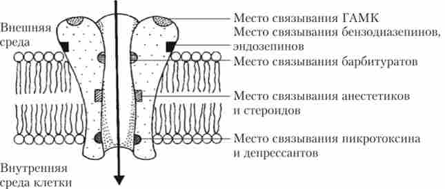 ����� ���������������� ������������ ��������� ����-���������