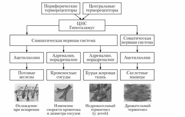 ������ ������� ������� � �������������� � ��� ����� ������� ����� �����������