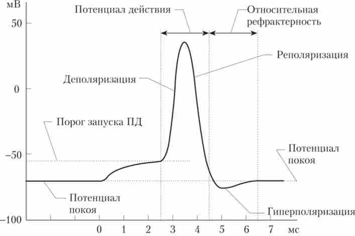 ���� �������� ���������� 䳿 � ��������������