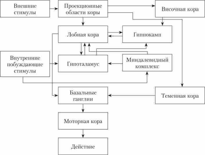 ������ ���������, �� ������ ������ � ���������� ��������