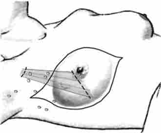 ����� ���������� ��������쳿 �� ���� - ������