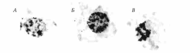 ���������� � �������� ����� ���������� ����������� ��������