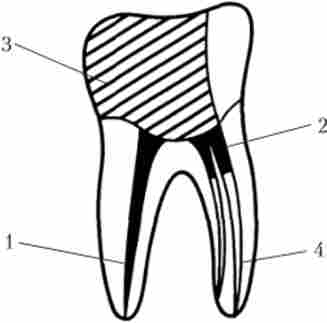 ˳������� �������, �� ����� ���������� ����������