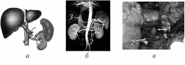 ���������� ��������������� ���������