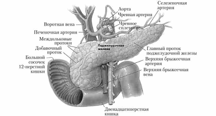 ������������ � ������ ���������� ������ ������