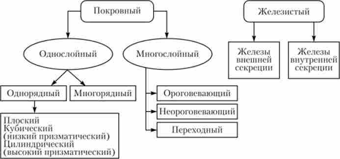 ������������ ���� ���������� �������