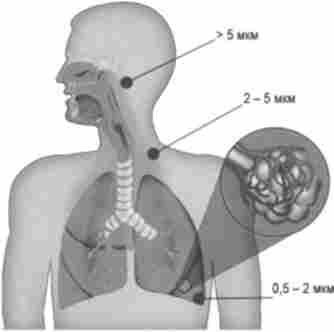 ������� ����������� �������� � ���� ����� ������������� ������