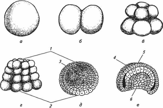 ����� ��������� � ����������� � ���������� (�� �. �. �������, �. �. ������������)