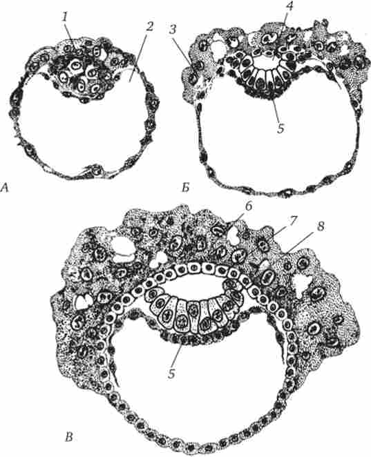 ��������� ���䳿 ����������� � �������� ������� ������ � ���� 1-� � �� 2-�� �����