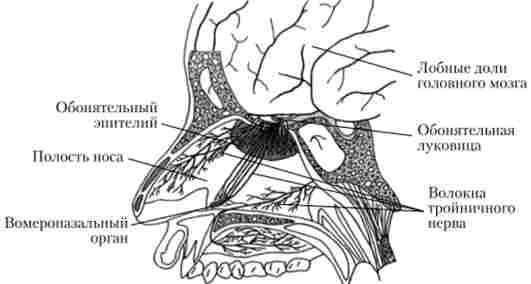 ��������������� �����