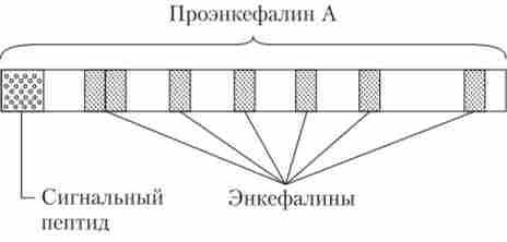 �������� ������������� � � ����������� ���������� � ���