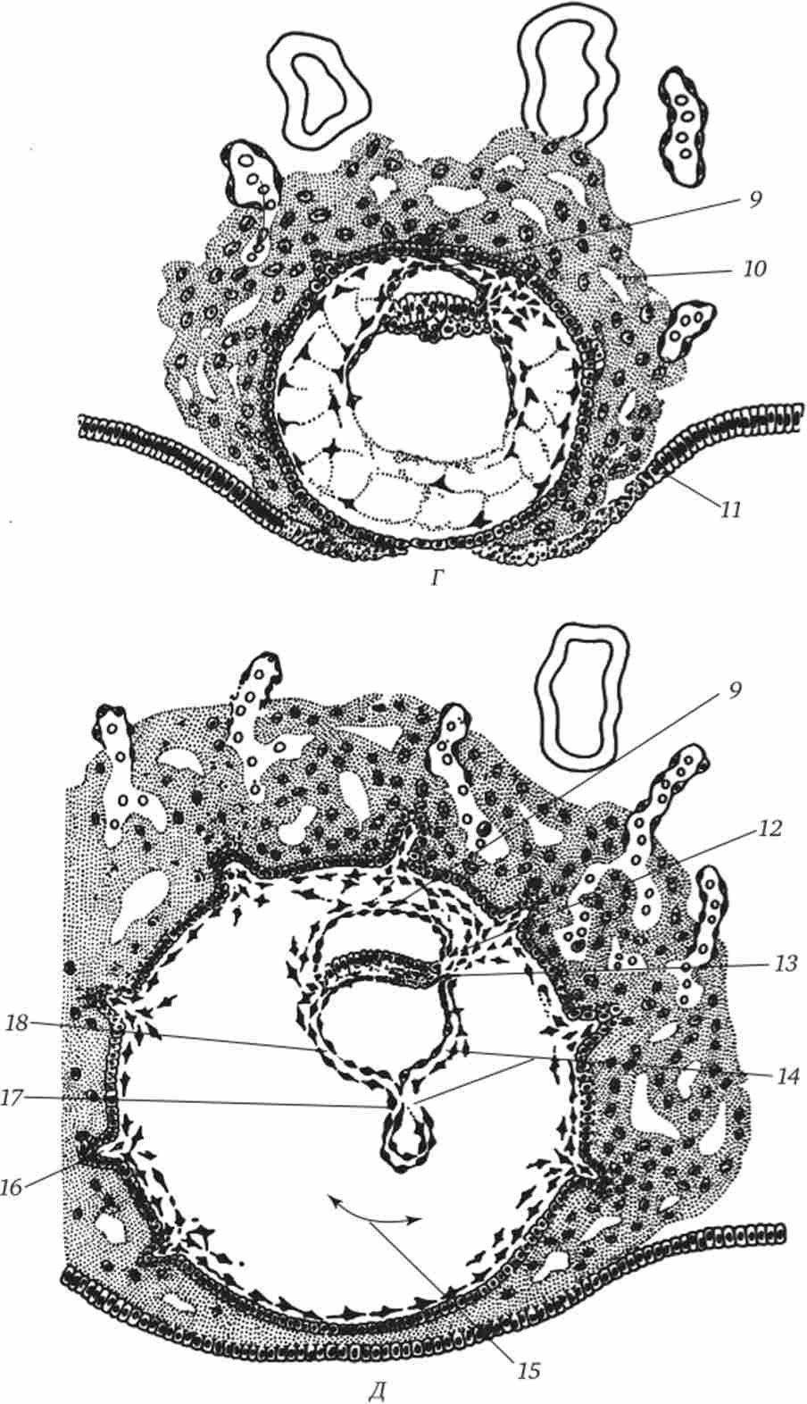 �����������