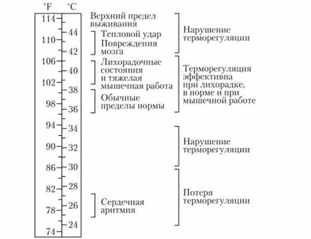 ��������� � ������ ����� ����������� ��� ������