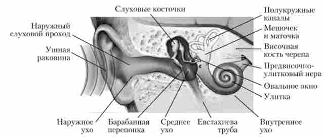 ������ ���� ������