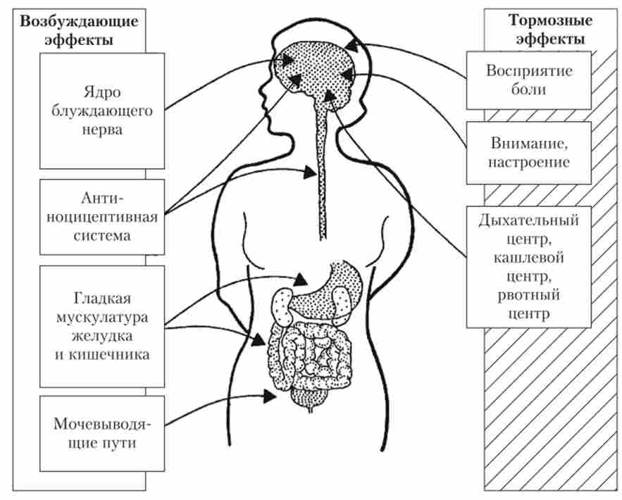 ������� ������ ���������� �������� �������