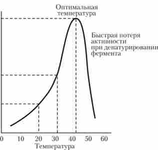 ���������� ��������� �������� �� �����������