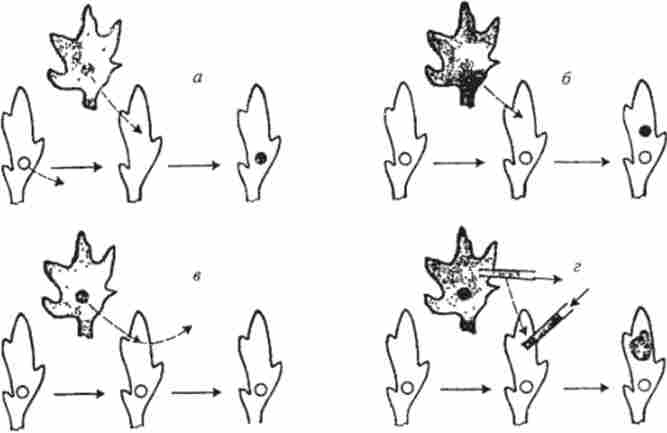 ������� ���� �������������� ��������, �� �������������� ��� �������� ������� � ������-���������������� ������� � ����