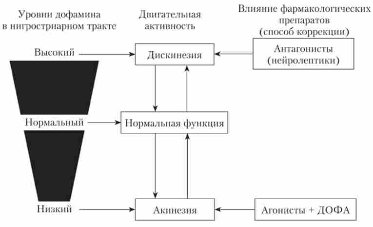 ������ � ������� �������