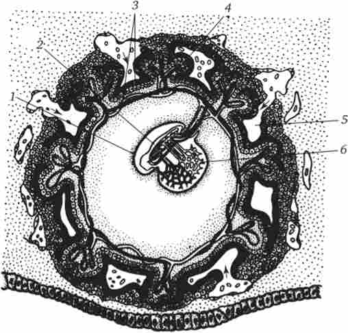 ������� � ������������ ������ ������ �� 21-� ���� ��������