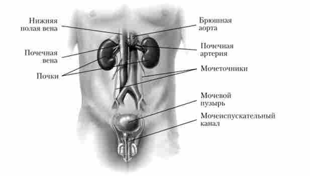 ������� ������� ������