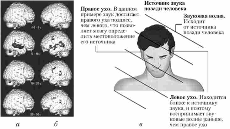ĳ����� �������� ���� ������� ������, ���������� ��� 䳿 �������� ������� (����� ���)