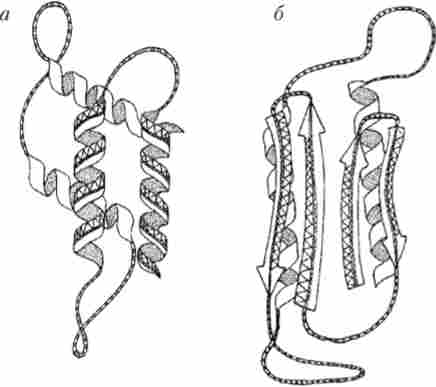 г����� � ����������� ������ ���� ��� ���� ������������ � ����� ��� (�) � ��������� ����� PrP (�)