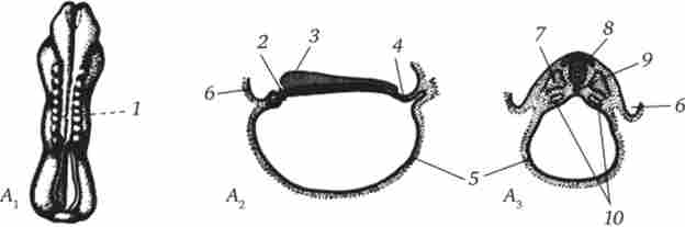 �������� ������� ������ �� 4-�� �����