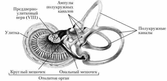 ������������� ������