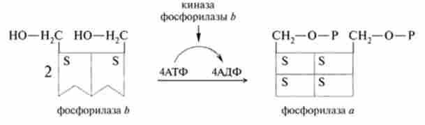 ����� ��������� ����������