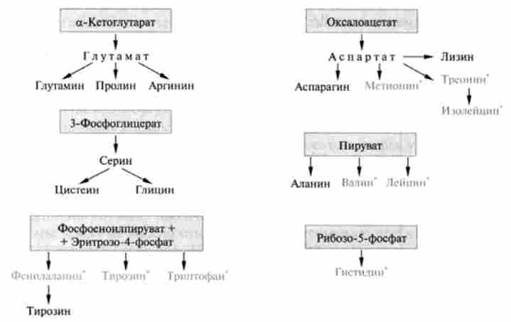 ������������� �������� ���������� (�� �. ��������)